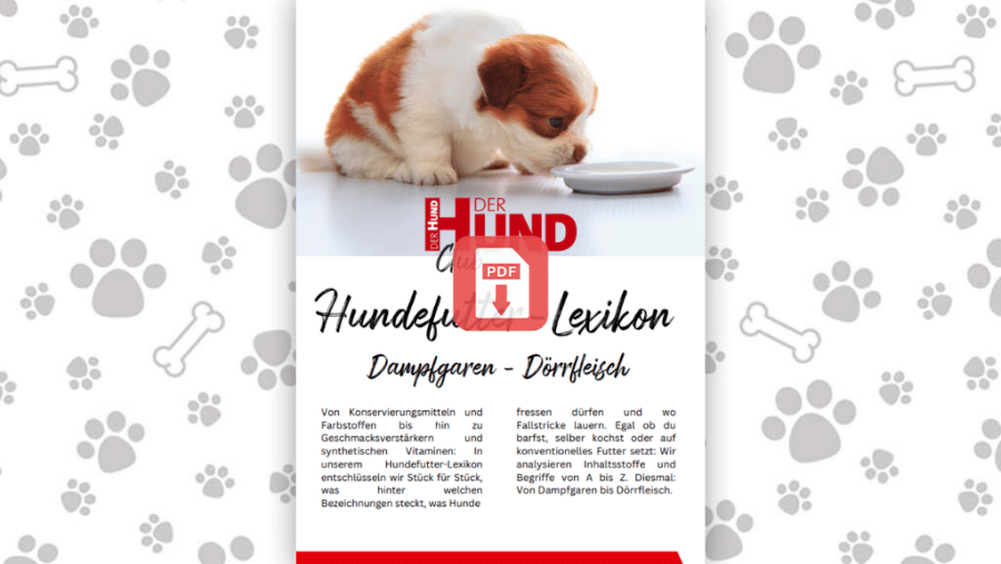 Download: Futtermittellexikon D