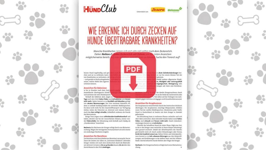 Download: Infektionen durch Zeckenstich sofort erkennen