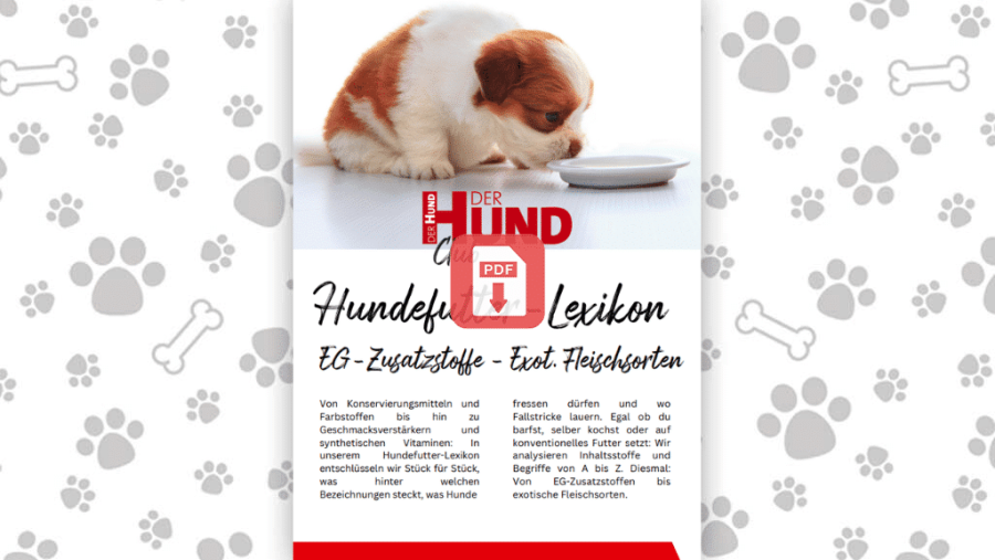Download: Futtermittellexikon E