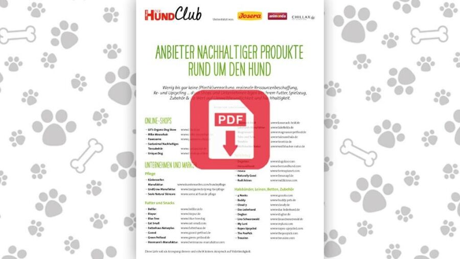 Download: Anbieter nachhaltiger Produkte rund um den Hund