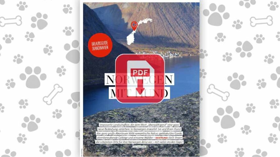 Download: Norwegen mit Hund
